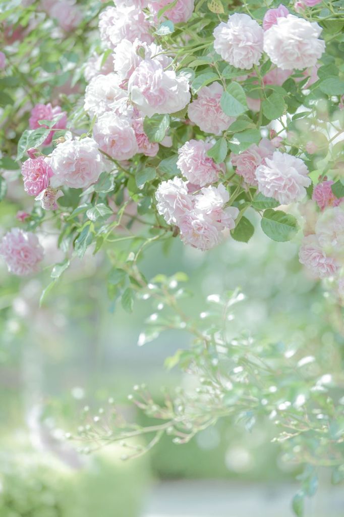 Pastel color　３