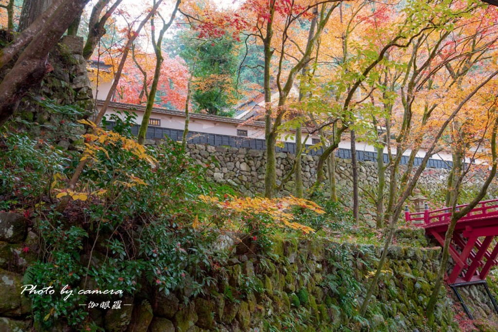晩秋の横蔵寺　3