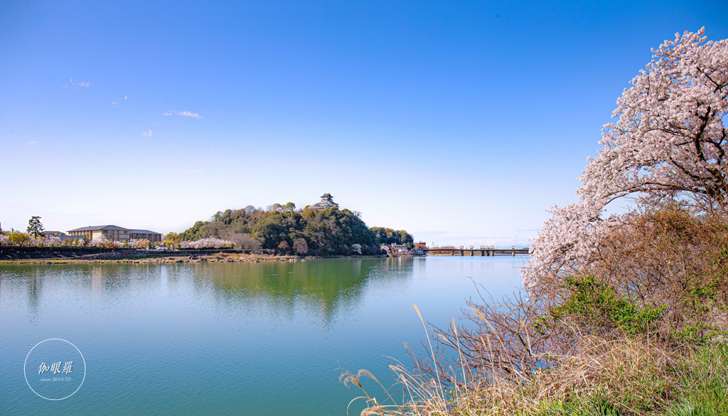 城と桜と清流