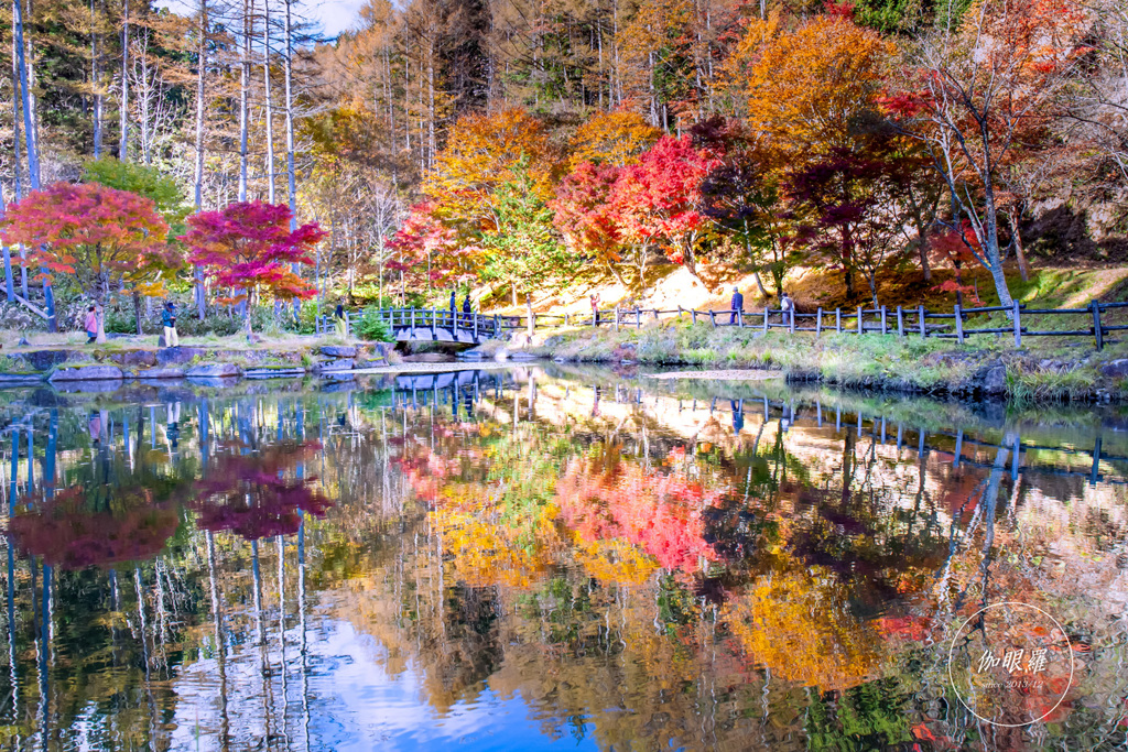 reflection of autumn