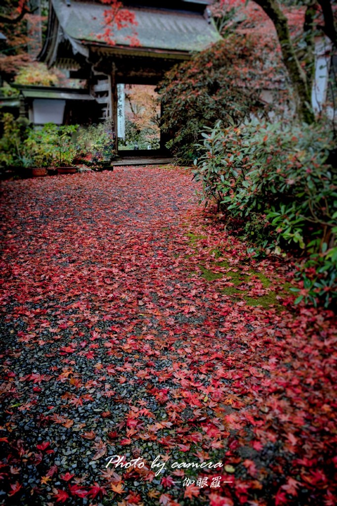 晩秋の横蔵寺　14