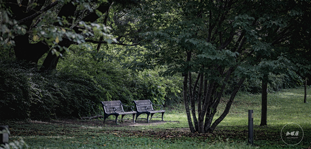 Old benches
