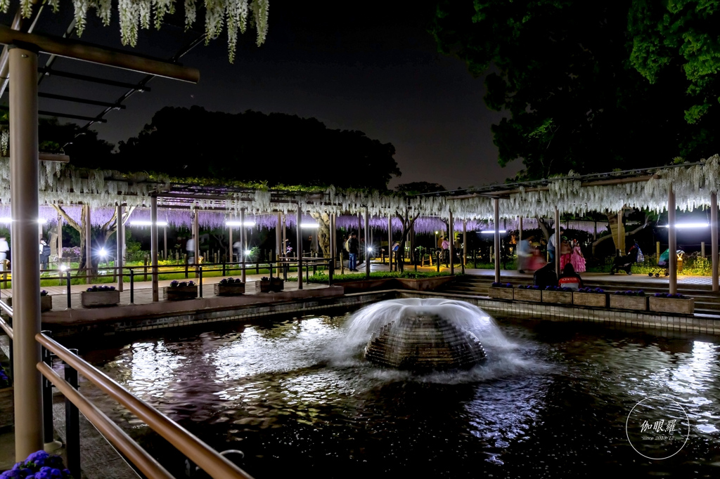 夕闇に浮かぶ藤棚