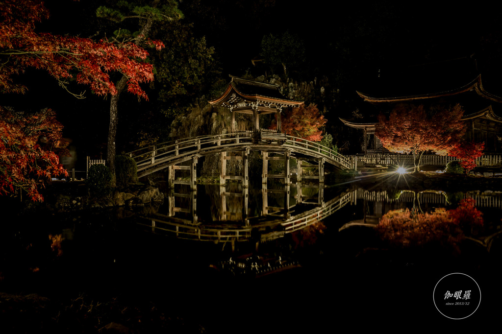 秋夜に照らされる無際橋