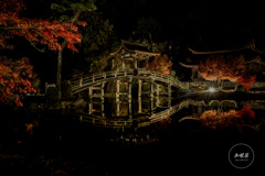 秋夜に照らされる無際橋