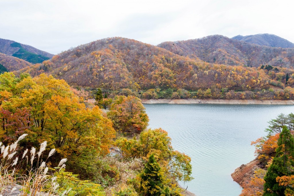 九頭竜の紅葉　５　（３年前）