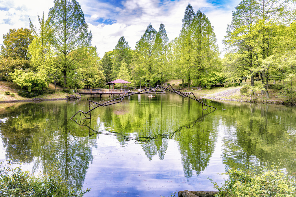 静寂を映す by 伽眼羅 (ID:13475924) - 写真共有サイト:PHOTOHITO