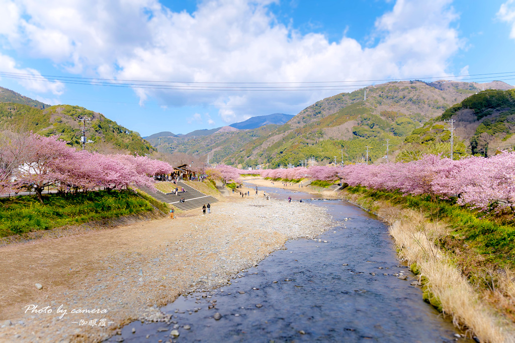 河津 春景色