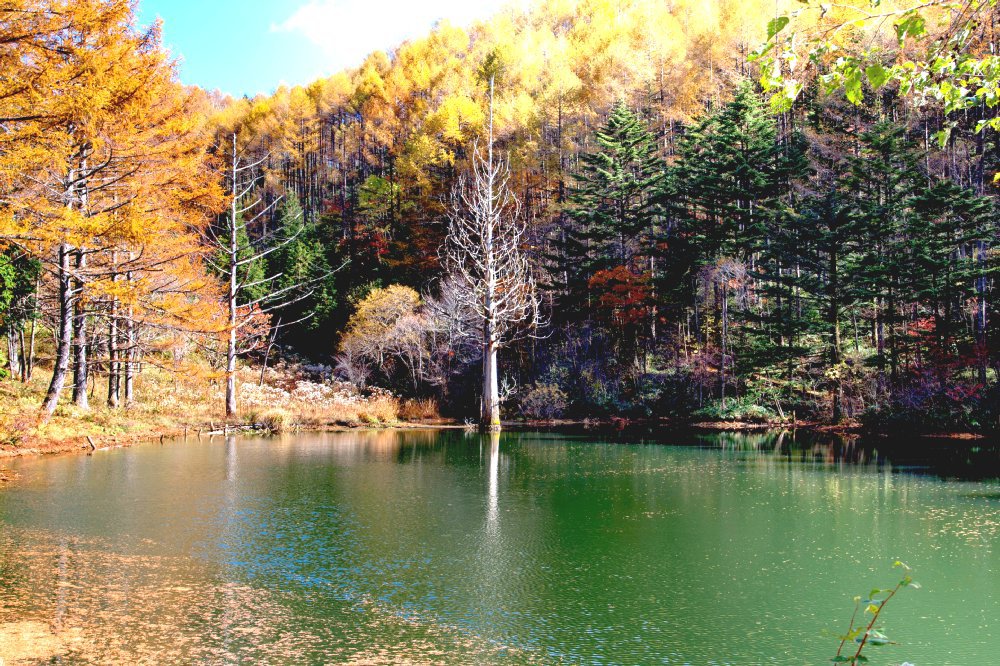 静寂の池　２