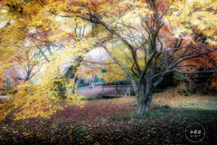 深秋、美しき時