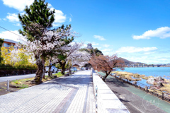 春の空にそびえたつ城