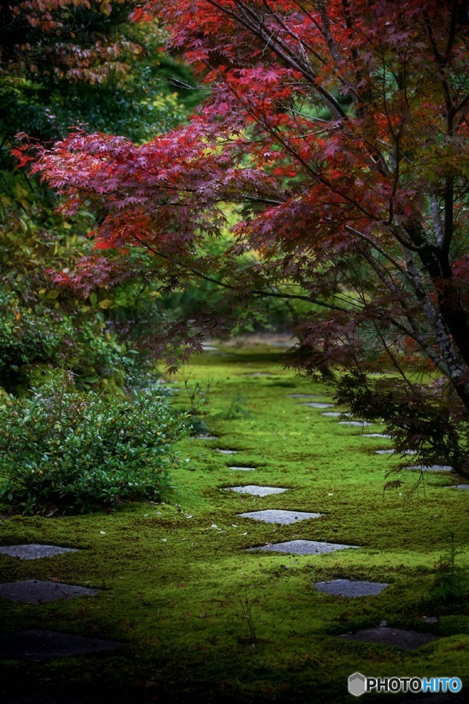 静寂の庭園