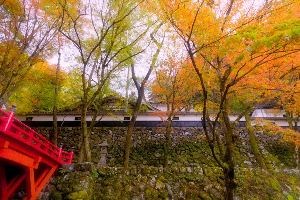 秋の横蔵寺　１