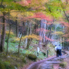 Lovely Autumn
