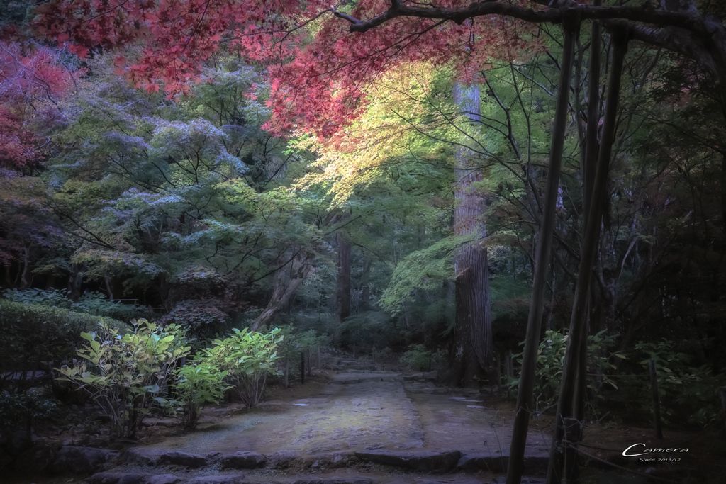 静寂の彩