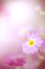 for you… 2