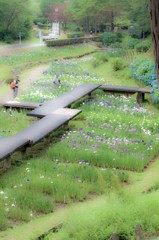 菖蒲園を臨む