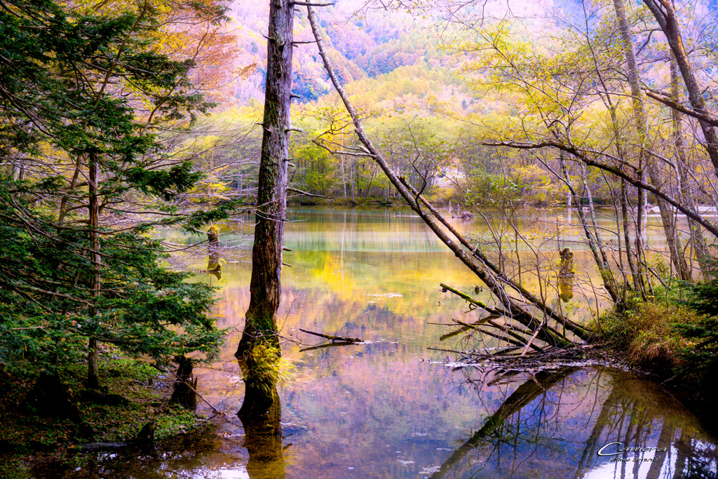 上高地ウォーキング in autumn　13