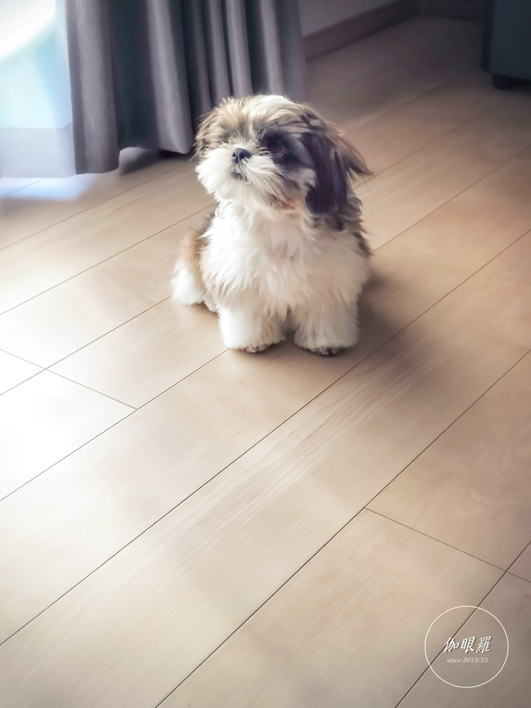 見つめる先は？