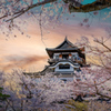 爛漫の城 Ⅱ　（加工画像）