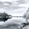 春の情景