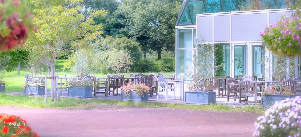 Afternoon Terrace