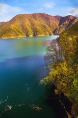 秋色に染まる徳山湖　２