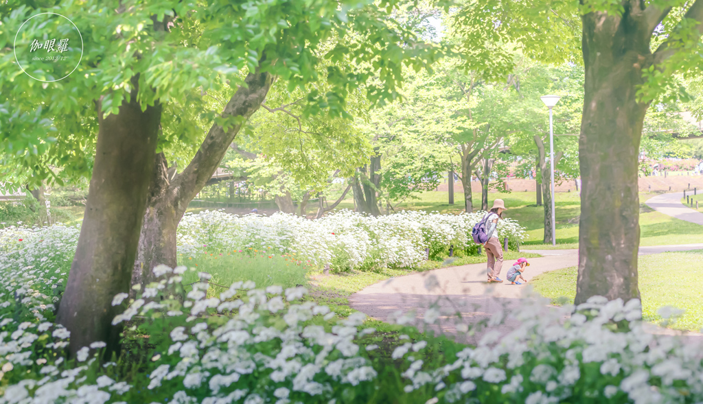 in the park