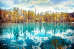金秋の青い池