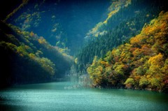 秋色に染まる徳山湖　４