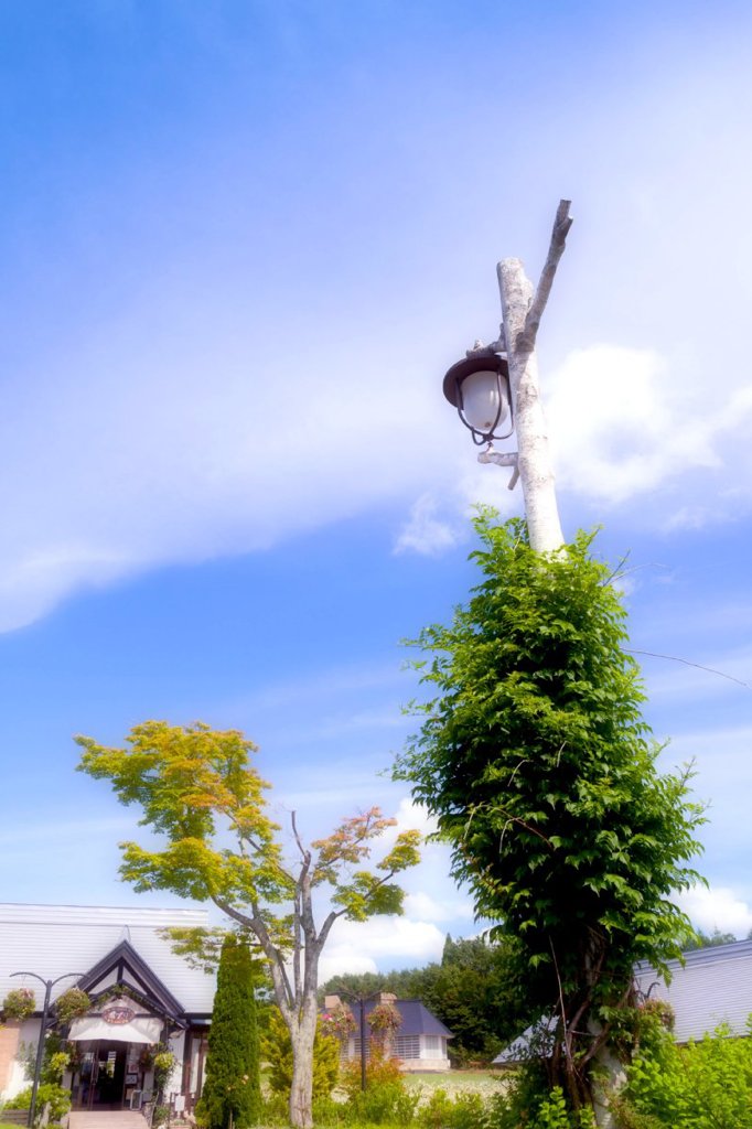 大空に向かって