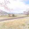 春の木曽川河川敷