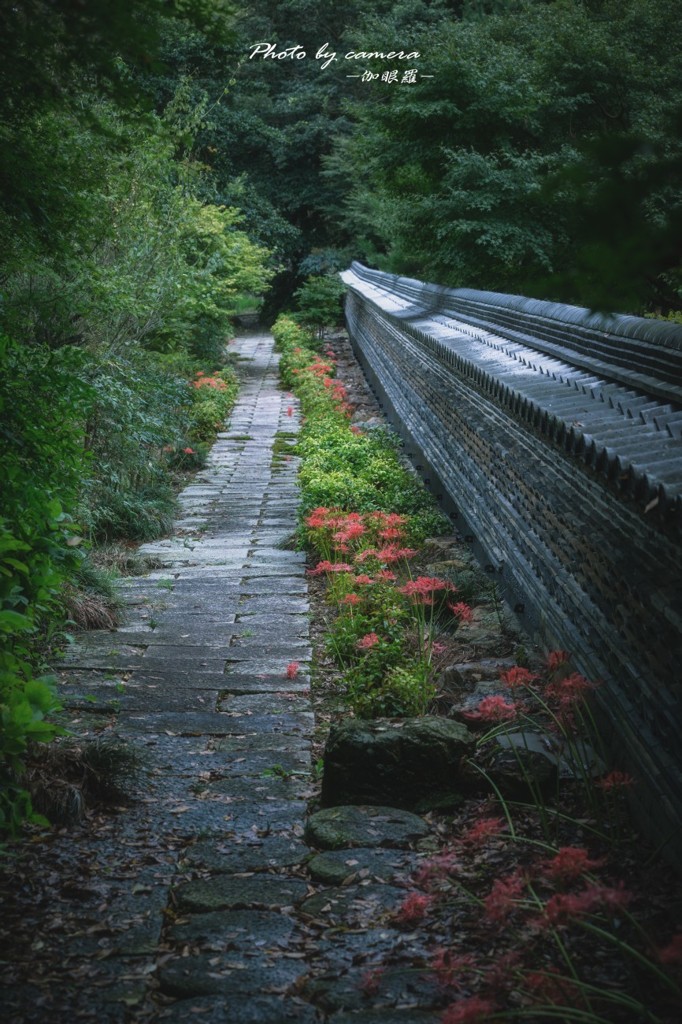 静寂の小路