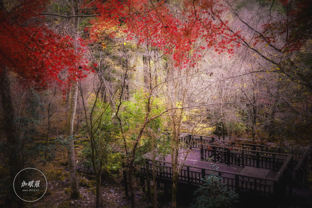 Autumn Terrace