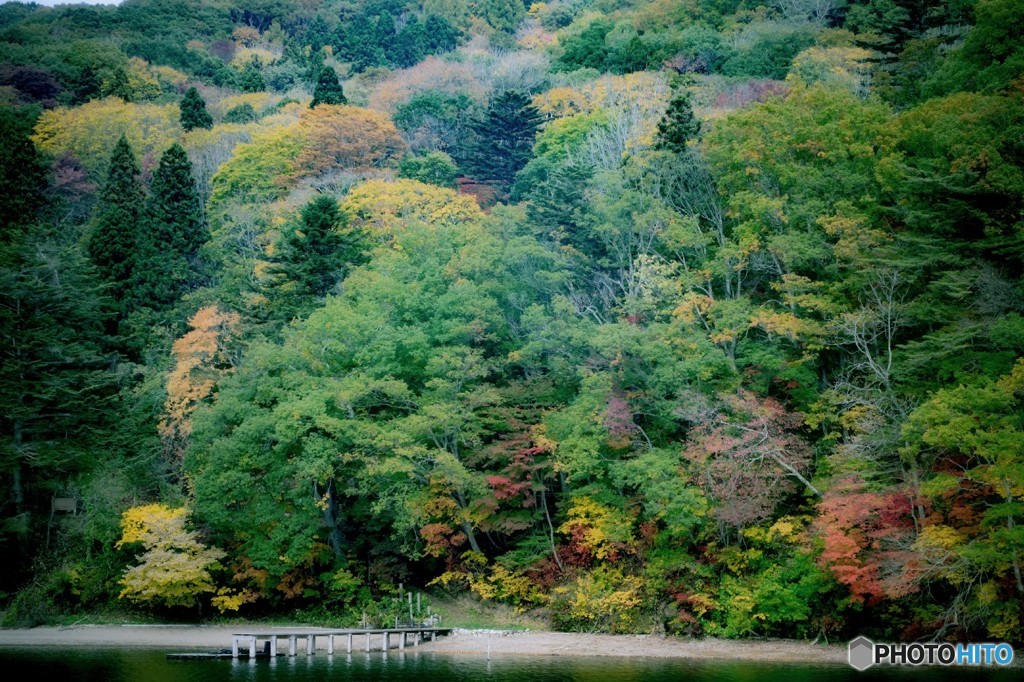 桟橋のある風景