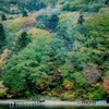 桟橋のある風景