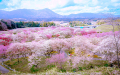 春色につつまれる