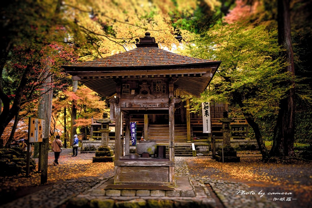 晩秋の横蔵寺　7
