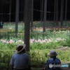 憩いのひととき