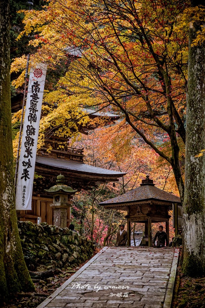 晩秋の横蔵寺　6