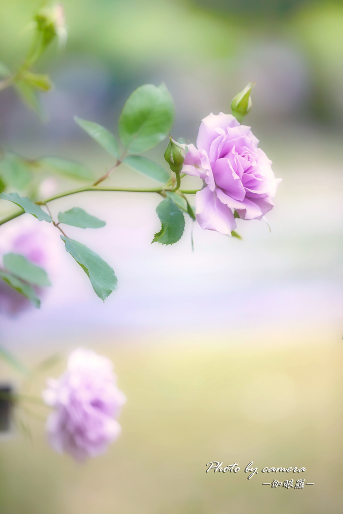 Silent time