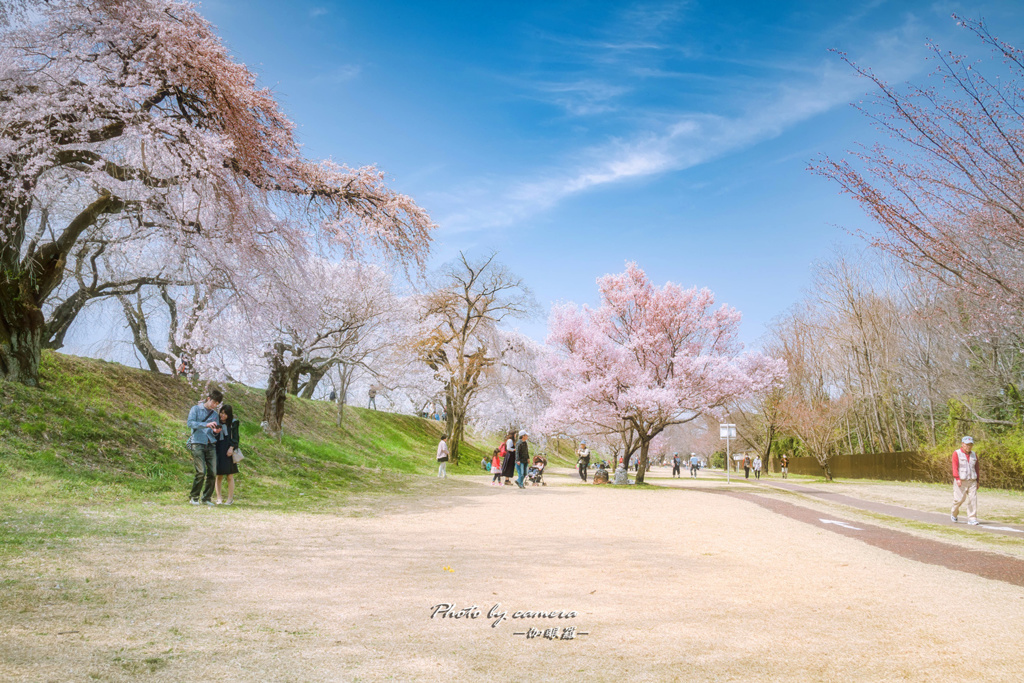 お花見日和