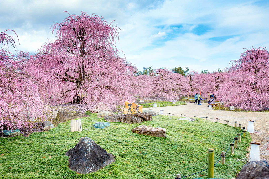 鈴鹿の森庭園