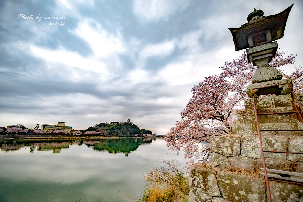 春の情景 Ⅴ