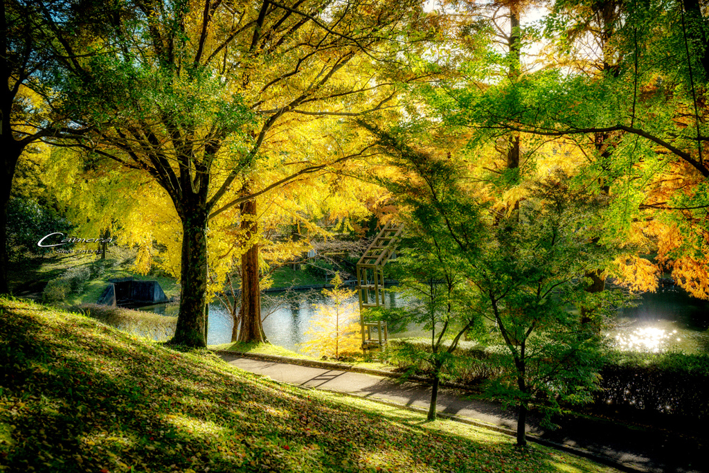 Shining yellow