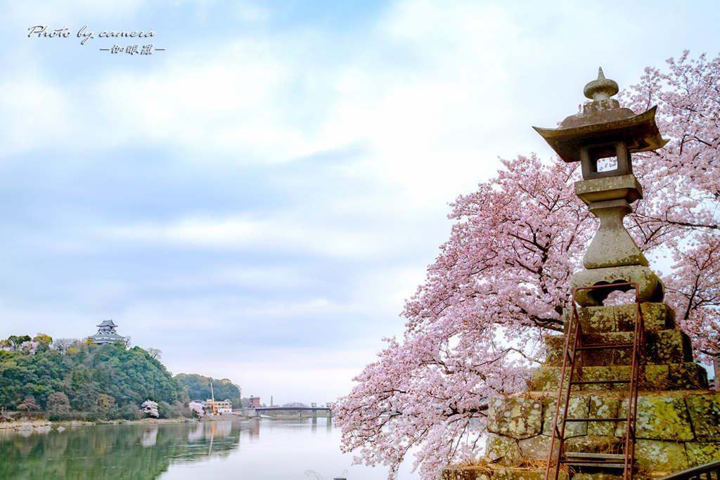 春の情景 Ⅳ