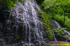 新緑の龍双ヶ滝 Ⅳ