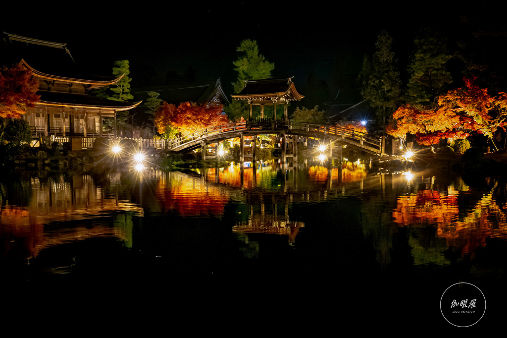 光に浮かぶ無際橋