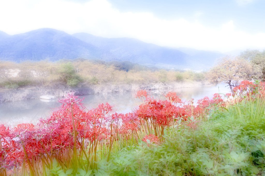 彼岸の彩り