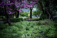 Rest area in the park